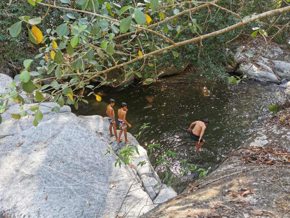 Sierra Jungla Otel Minca Dış mekan fotoğraf