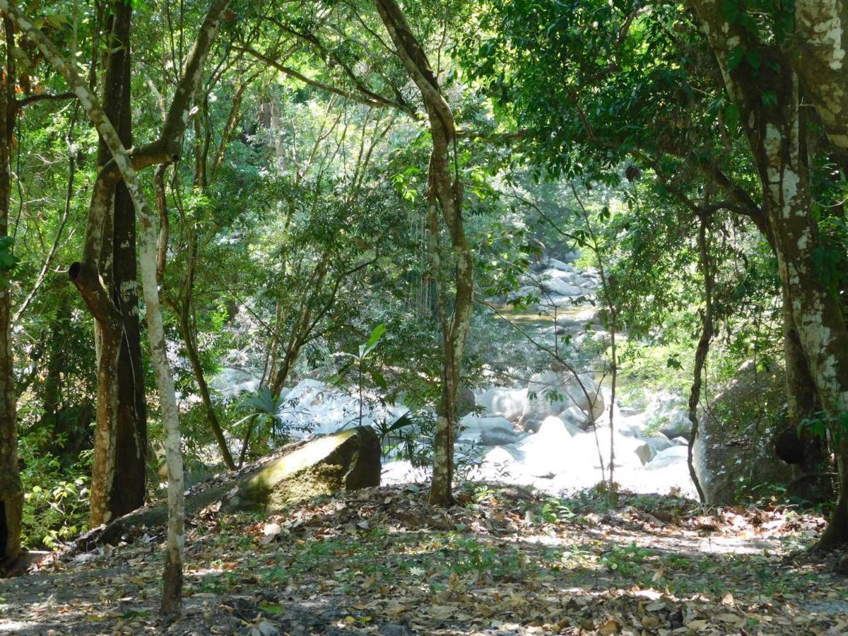 Sierra Jungla Otel Minca Dış mekan fotoğraf