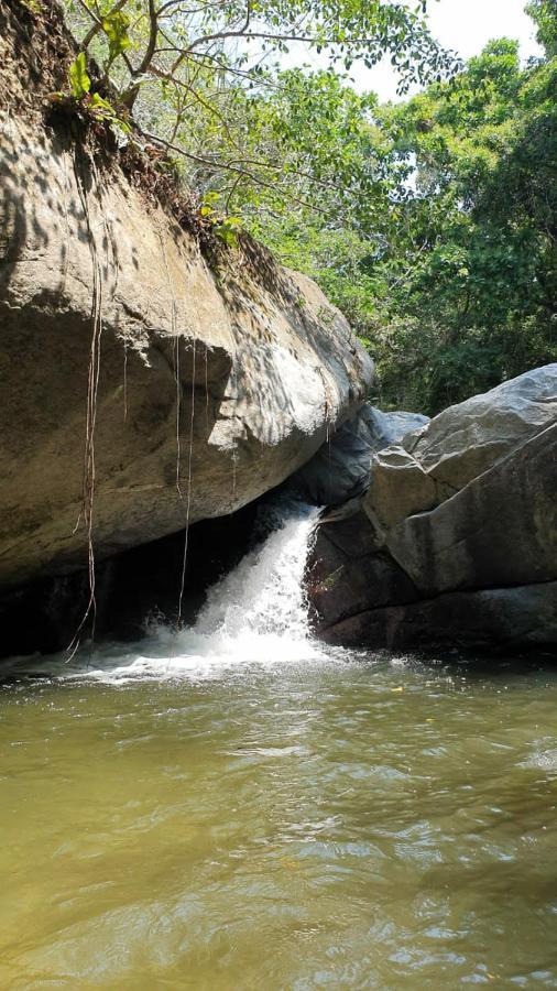 Sierra Jungla Otel Minca Dış mekan fotoğraf