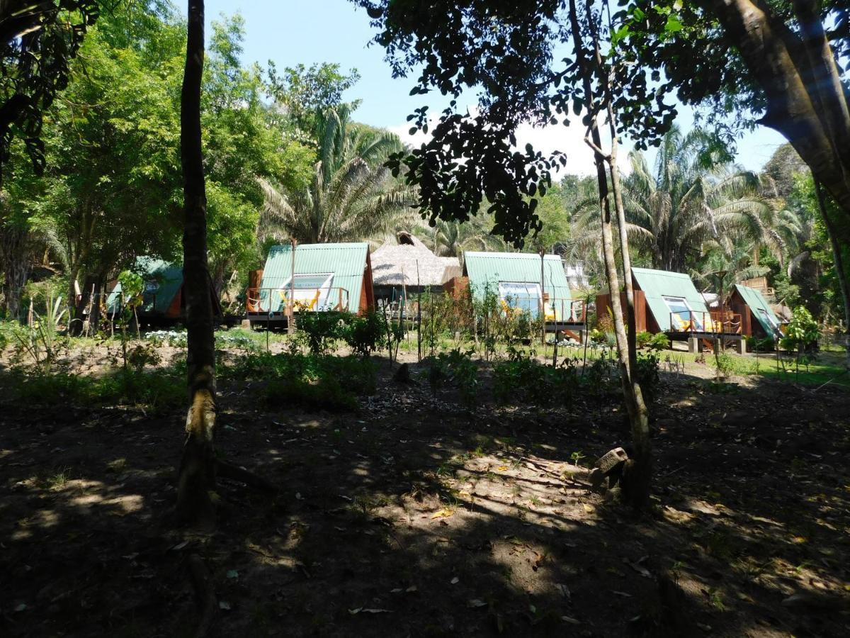 Sierra Jungla Otel Minca Dış mekan fotoğraf