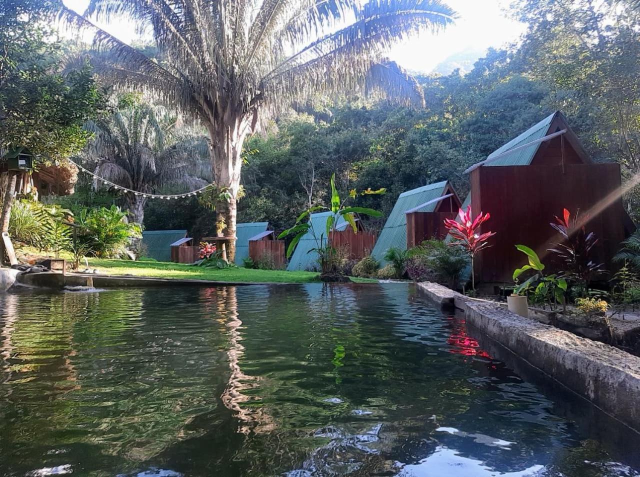 Sierra Jungla Otel Minca Dış mekan fotoğraf
