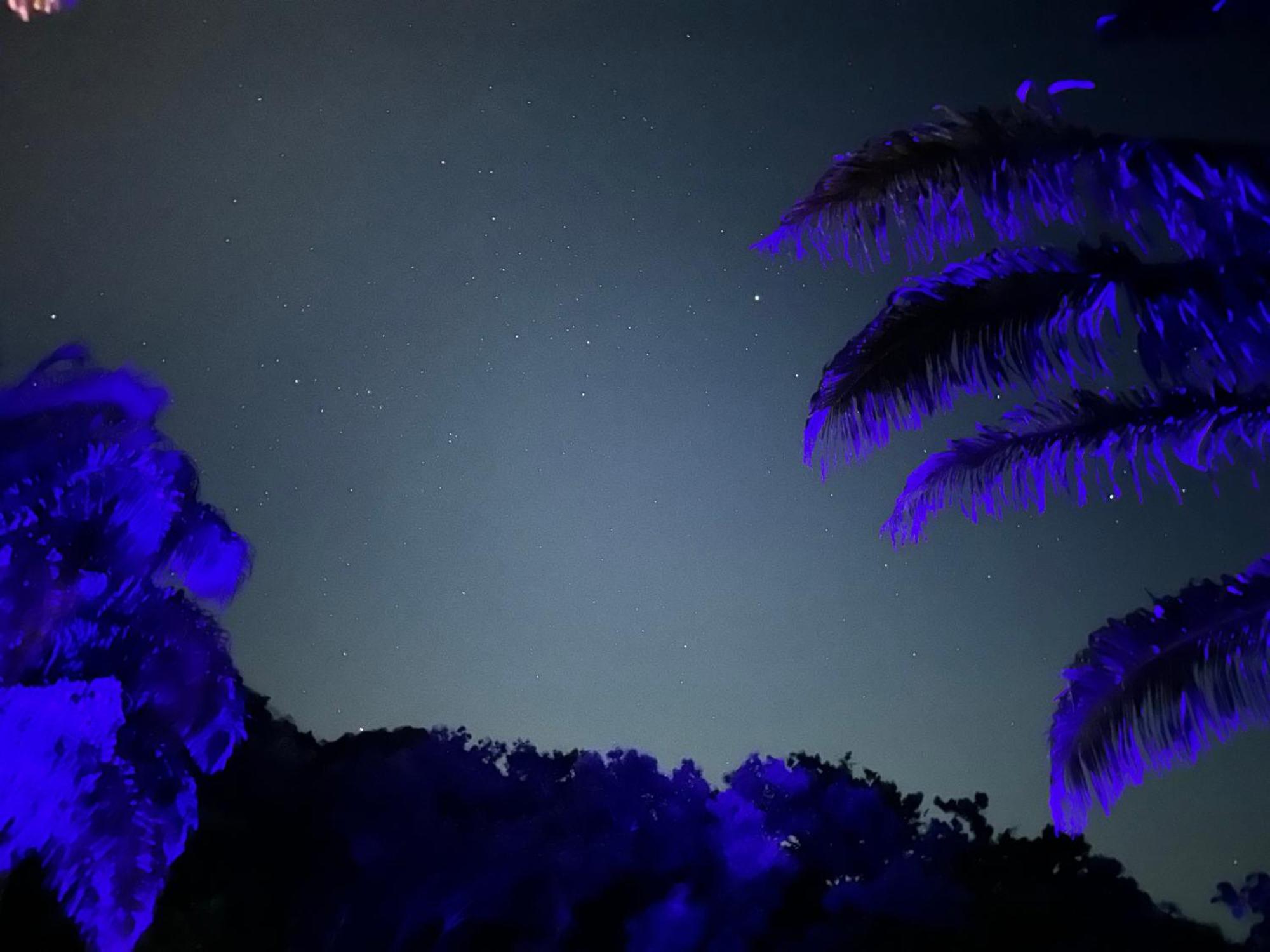 Sierra Jungla Otel Minca Dış mekan fotoğraf