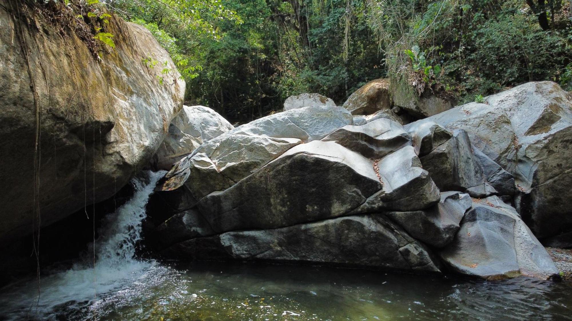 Sierra Jungla Otel Minca Dış mekan fotoğraf